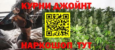 apvp Гусев