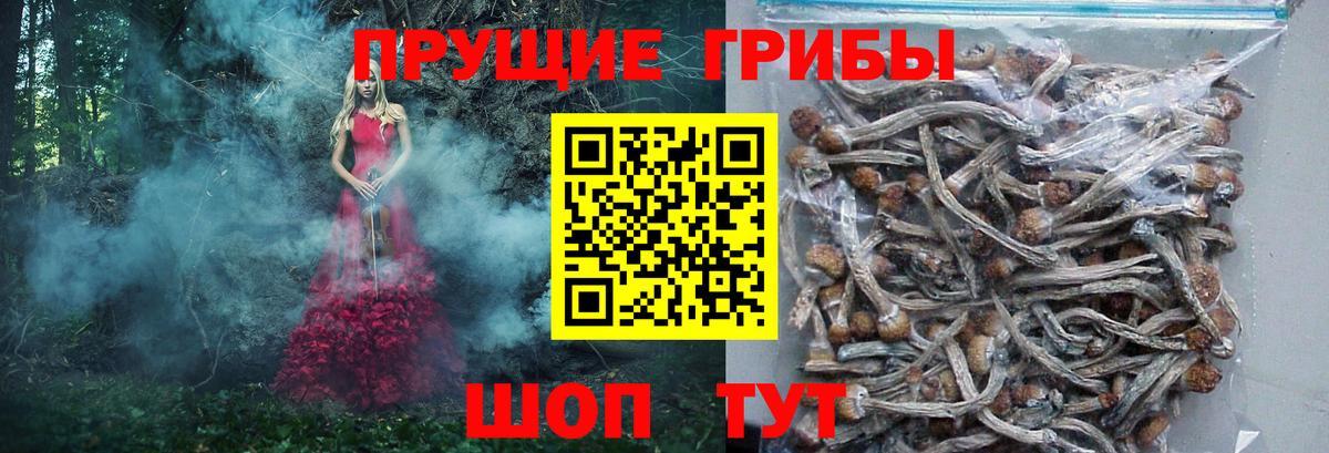 Псилоцибиновые грибы мицелий  Галлюциногенные грибы ЛСД  Мытищи  Вход с VPN 