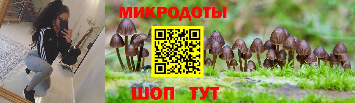 Псилоцибиновые грибы мухоморы Мытищи